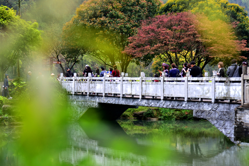 清明游玩黃龍洞，不負(fù)滿園好春光（組圖）